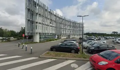 Dr Anne DUMOULIN à Brest