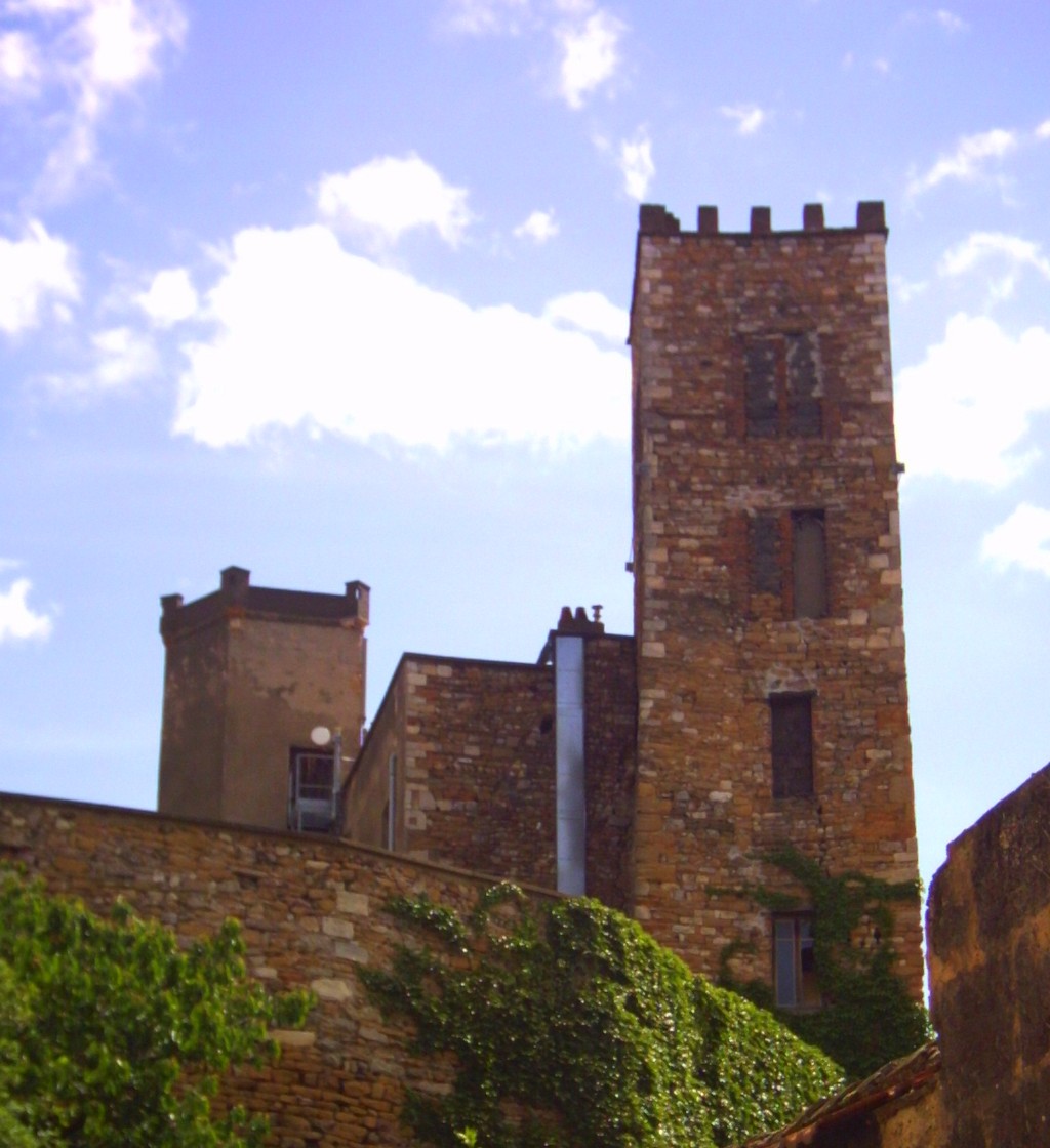 Vue de Neuville-sur-Saone