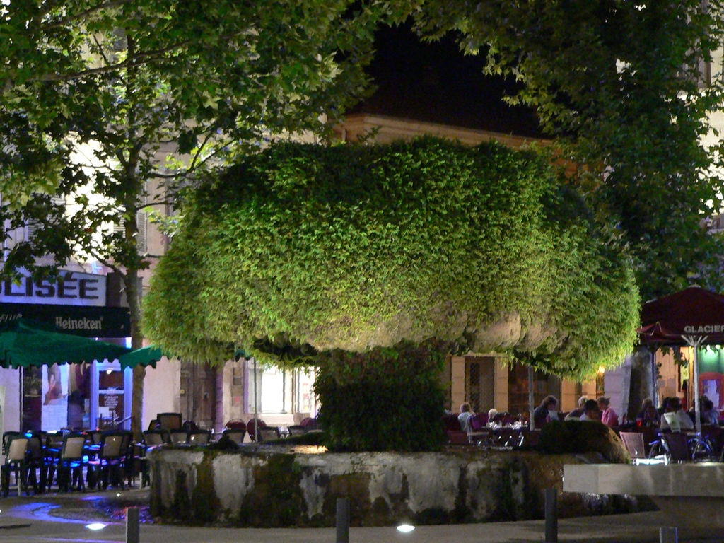 Vue de Salon-de-Provence